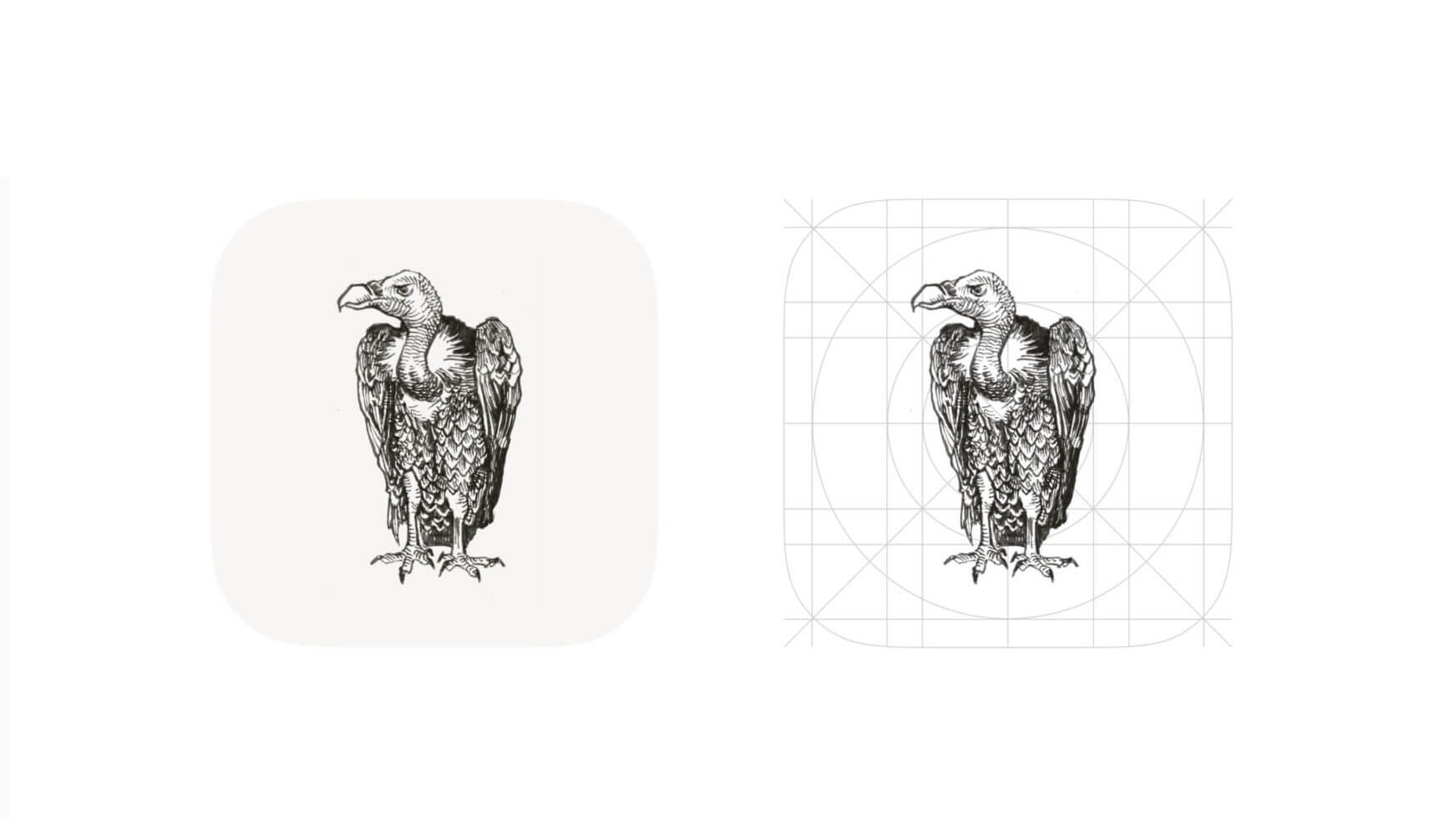 Zwart-witillustratie van een gier: één effen en één met raster.