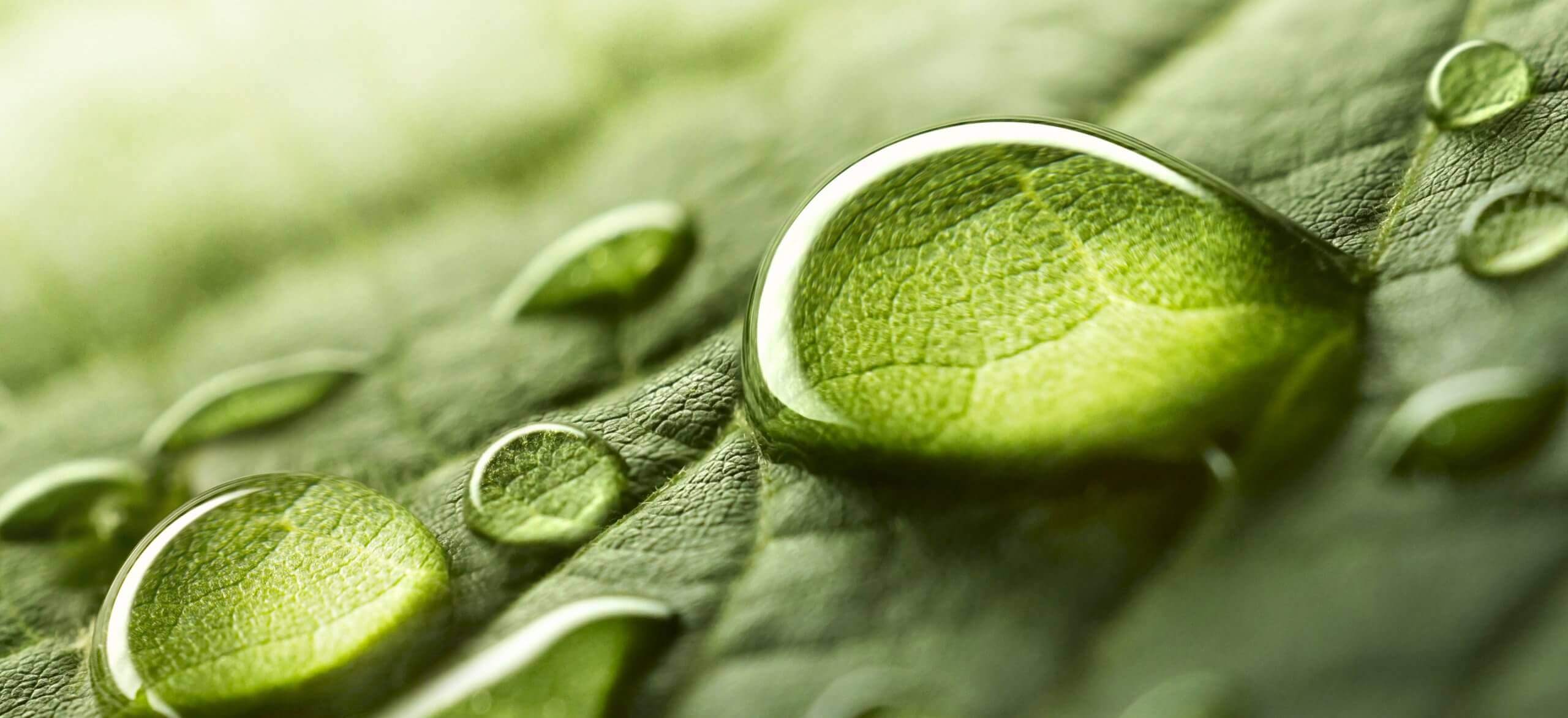 Close-up van waterdruppels op een groen blad, waarbij de textuur en de weerspiegeling van de druppels goed te zien zijn.