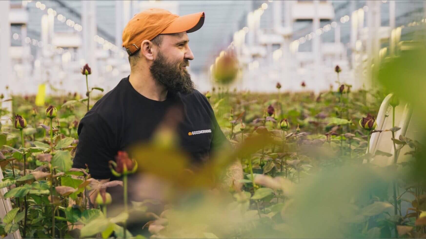 Goedemorgen! Een man in een oranje pet en zwart shirt staat te midden van weelderige planten in een kas.