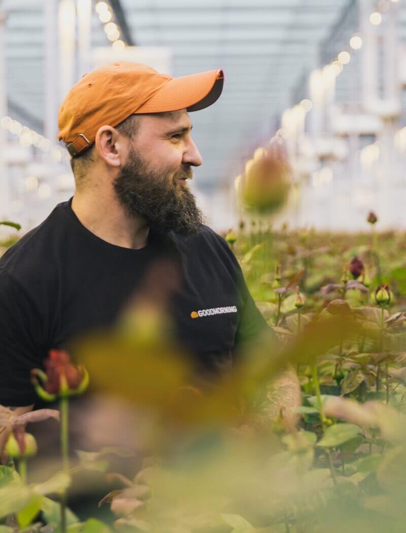 Een glimlachende man met een baard en een oranje pet staat tussen de rozen in de kas en kijkt naar links.