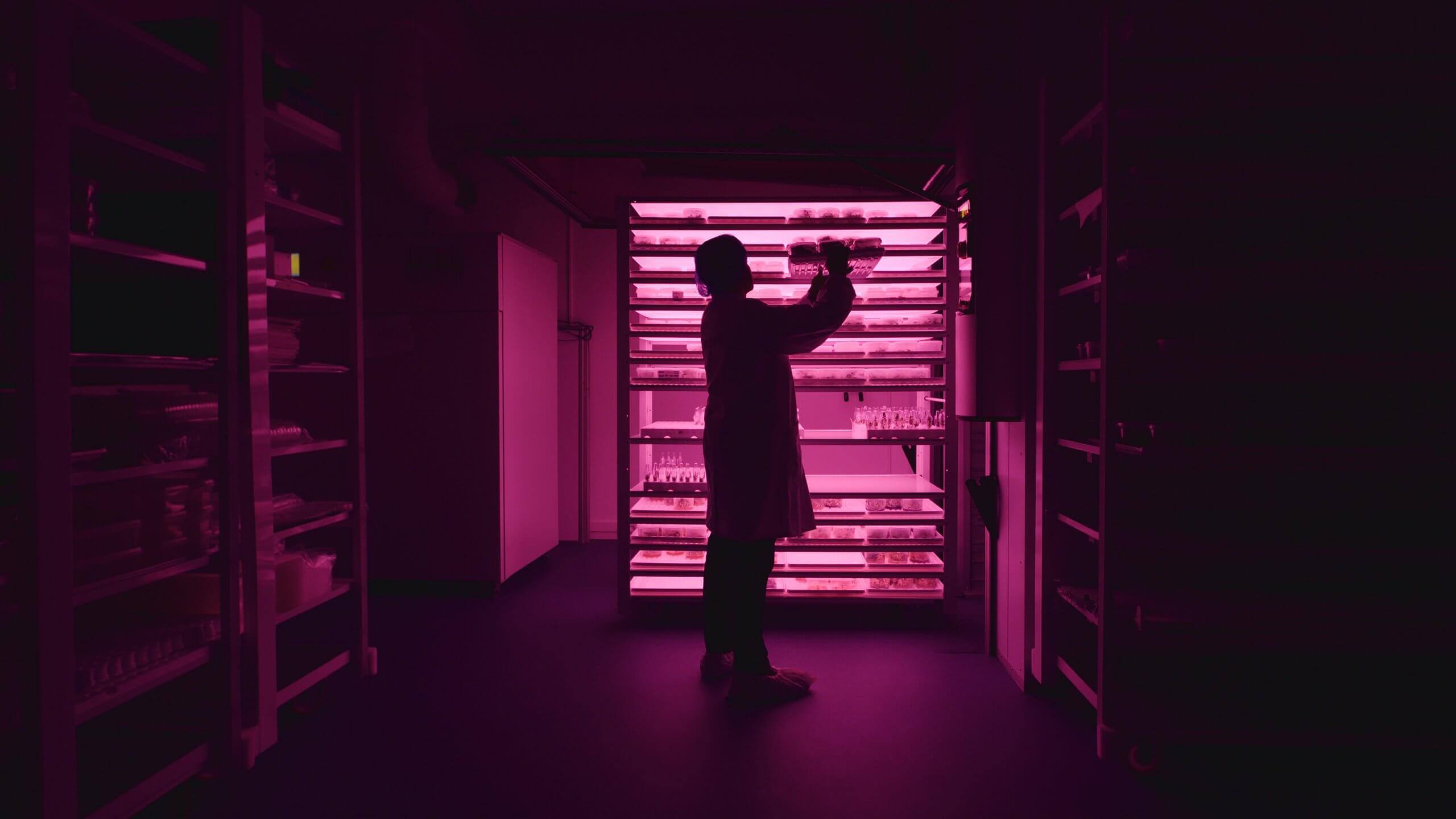 In een verticale boerderij controleert iemand de planten onder roze lampen, een weerspiegeling van de duurzame landbouwtechnologische innovaties van Viscon Group.