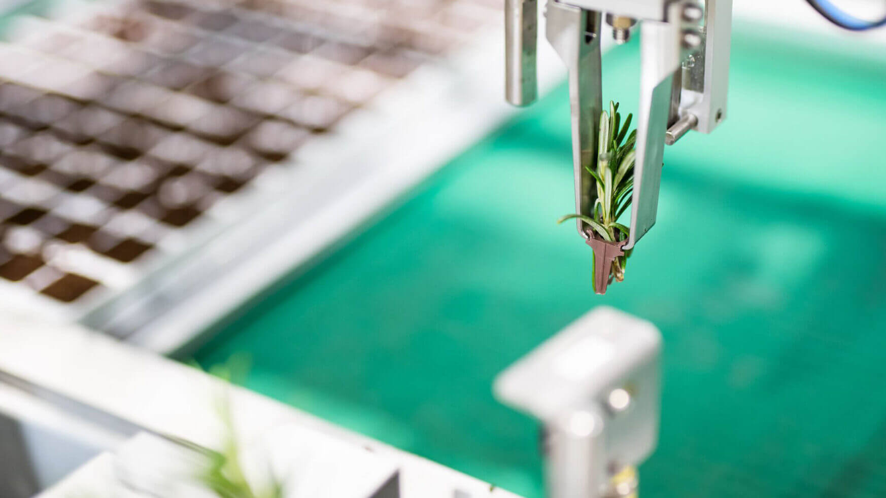 Een robotarm van Viscon Group plant een zaailing in een grondraster op een felgroene schaal.