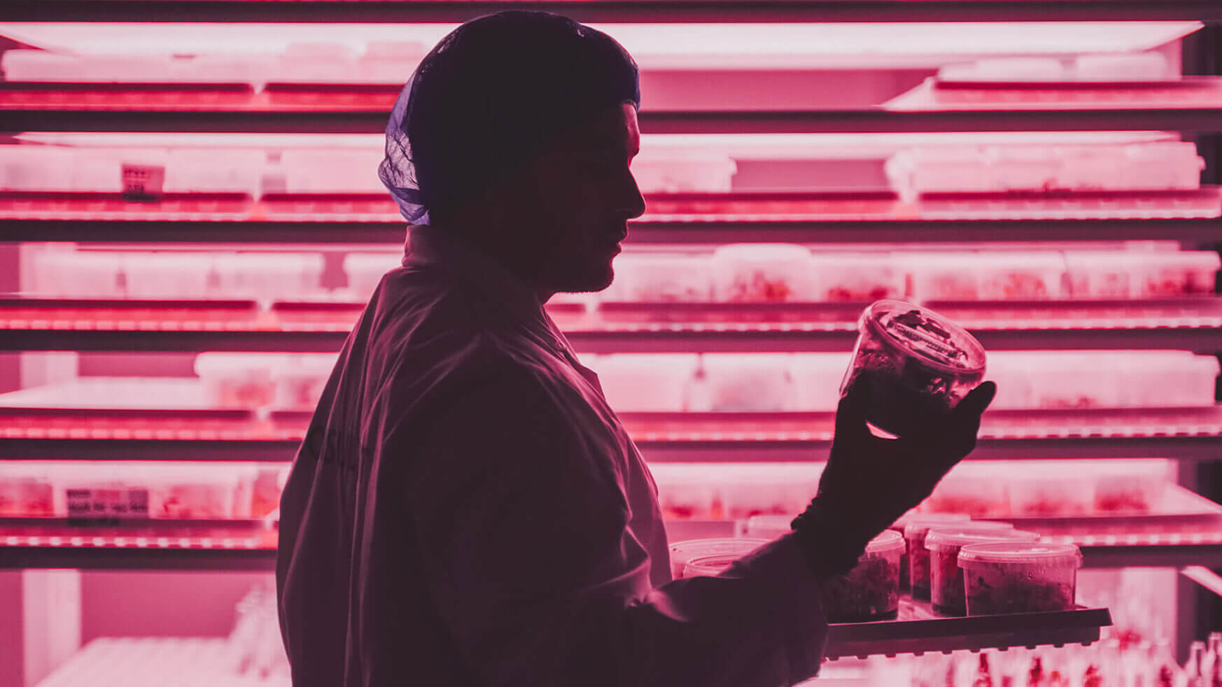 In een roze verlicht laboratorium inspecteert een figuur in pak een container, wat een voorbeeld is van de precisie en innovatie van Viscon Group.