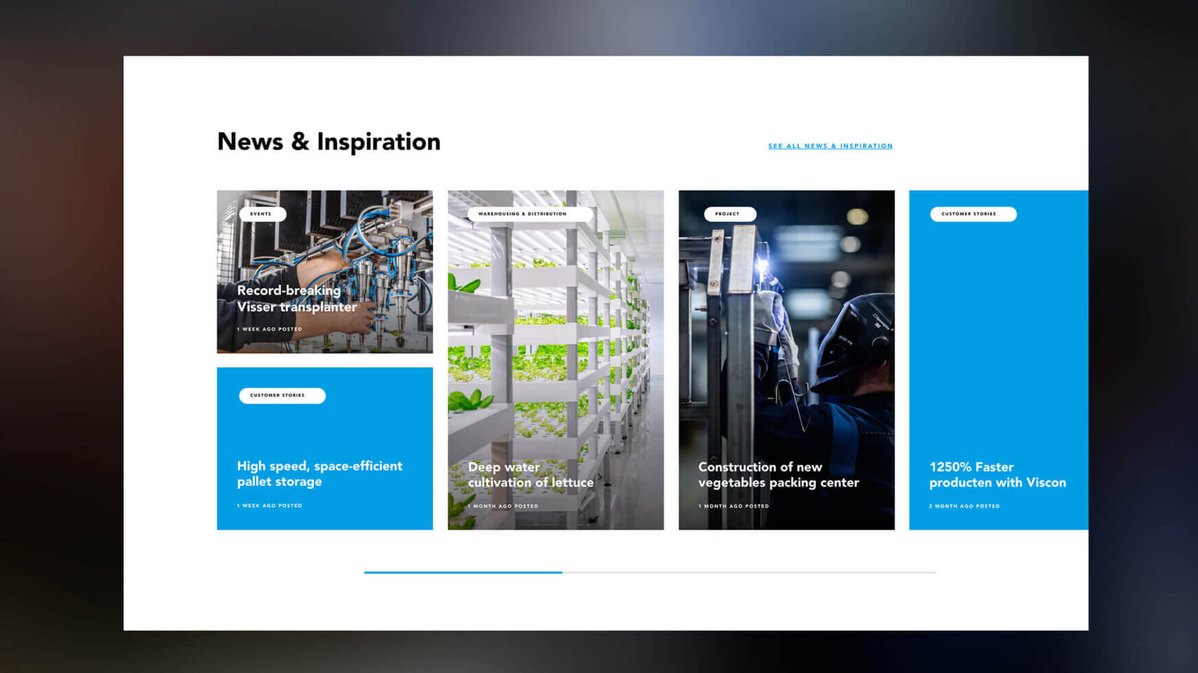 Ontdek de innovaties van Viscon op het gebied van palletopslag, -teelt, -verpakking en -productie met afbeeldingen op onze site.