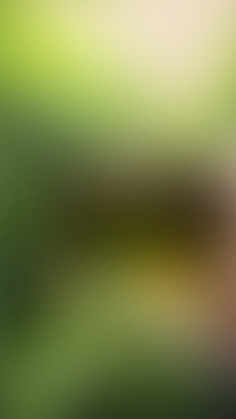 Abstracte groen-bruine achtergrond met gradiënt: zachte vervaging en moderne esthetiek.