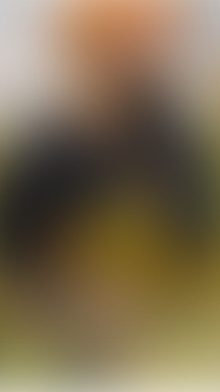 Kat op een gele deken, kijkend naar de camera.