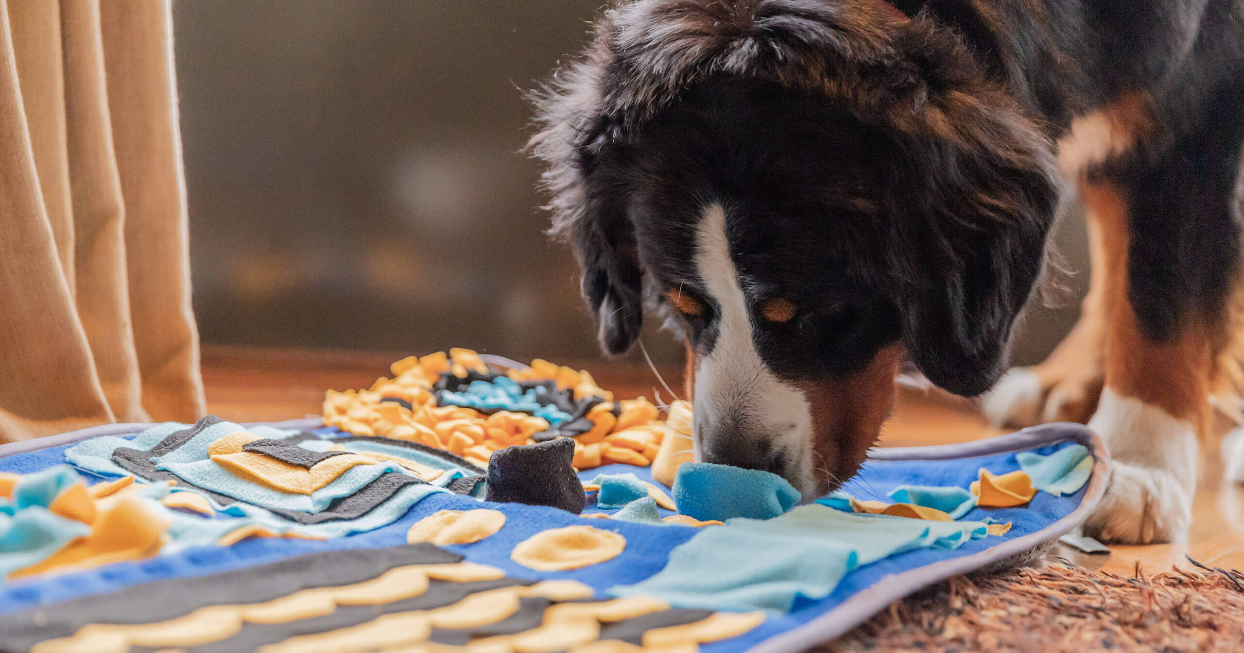 Hond verkent een kleurrijke Snuffies snuffelmat binnenshuis.