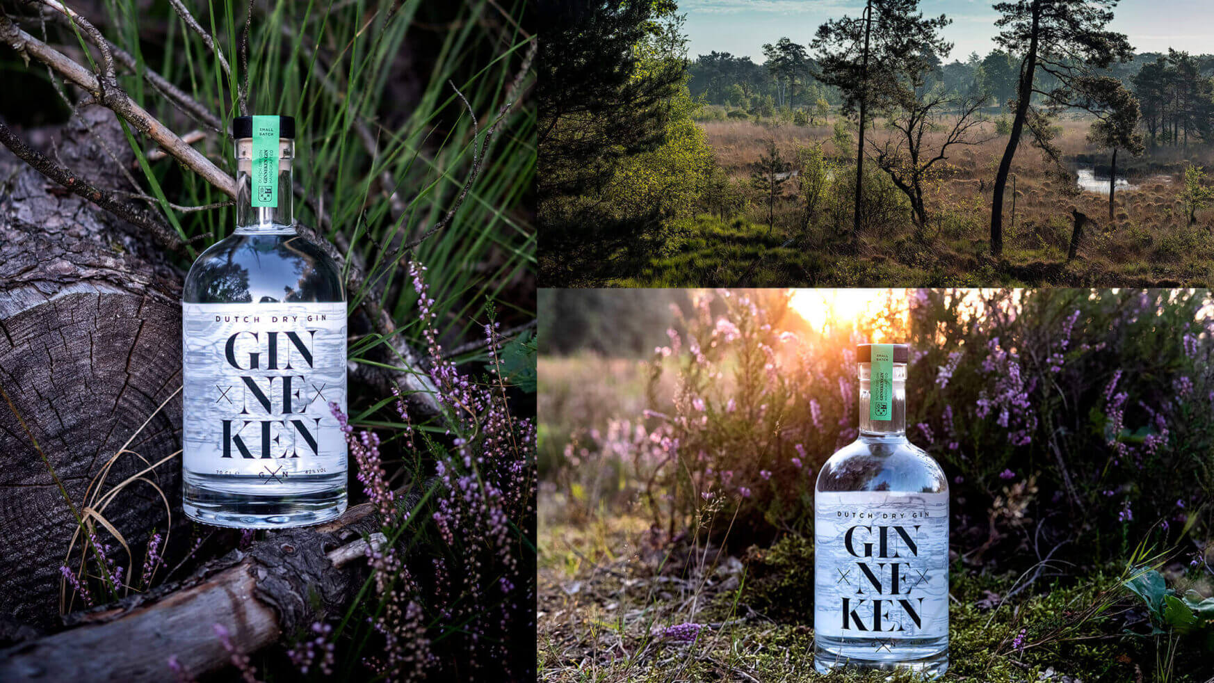 Gin Ken zit op gras in een weelderig bos. Ontdek meer over deze voortreffelijke drank op GinnekenGin.com.