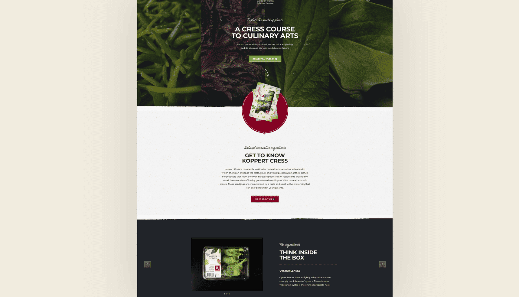 Koppert Cress website pagina met bladgroenten, info secties, en een foto van verpakte tuinkers.