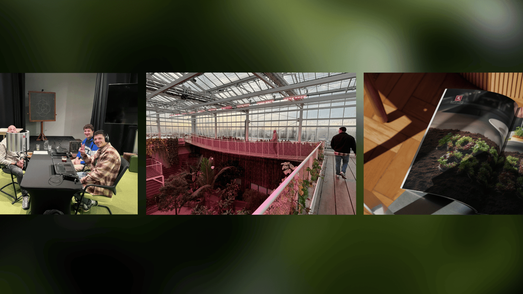 Drie foto's: dinerende groep, man in kas, open kookboek met Koppert Cress voedselcreaties.